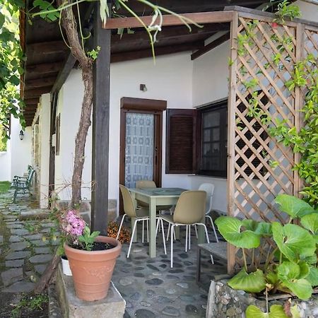 Traditionelles Appartement Athos Shadow Am Meer Paralia Sikias Exteriör bild