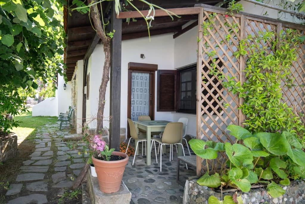 Traditionelles Appartement Athos Shadow Am Meer Paralia Sikias Exteriör bild