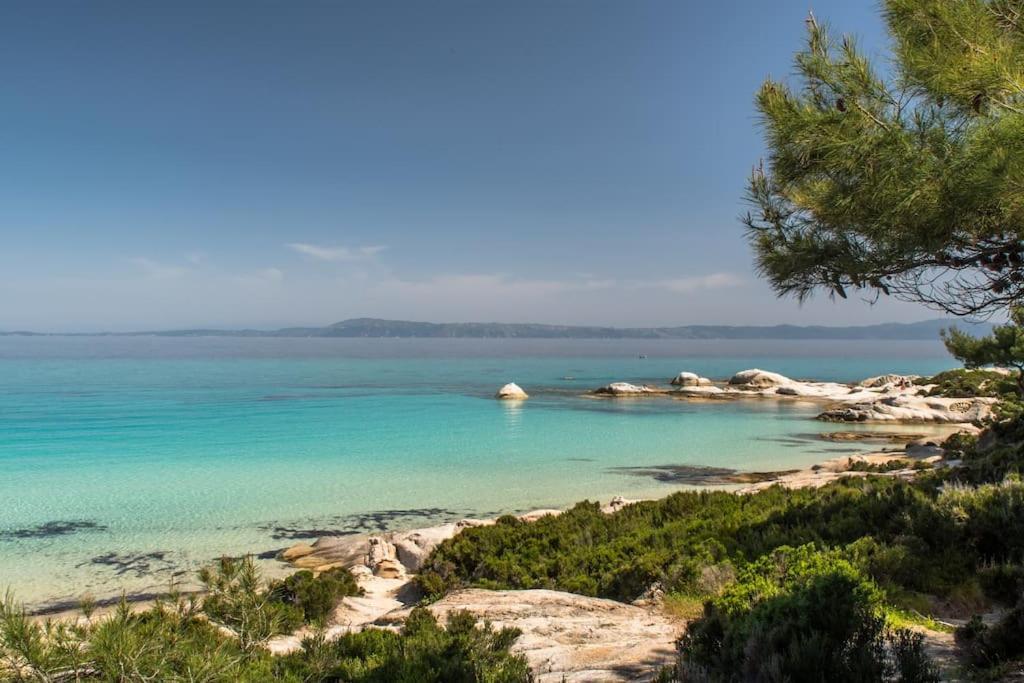 Traditionelles Appartement Athos Shadow Am Meer Paralia Sikias Exteriör bild