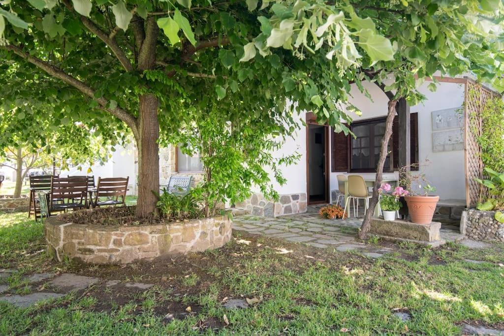 Traditionelles Appartement Athos Shadow Am Meer Paralia Sikias Exteriör bild