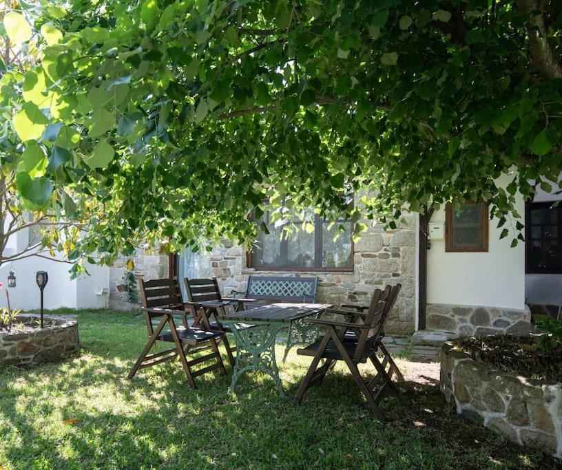 Traditionelles Appartement Athos Shadow Am Meer Paralia Sikias Exteriör bild