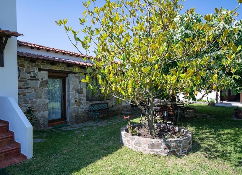Traditionelles Appartement Athos Shadow Am Meer Paralia Sikias Exteriör bild