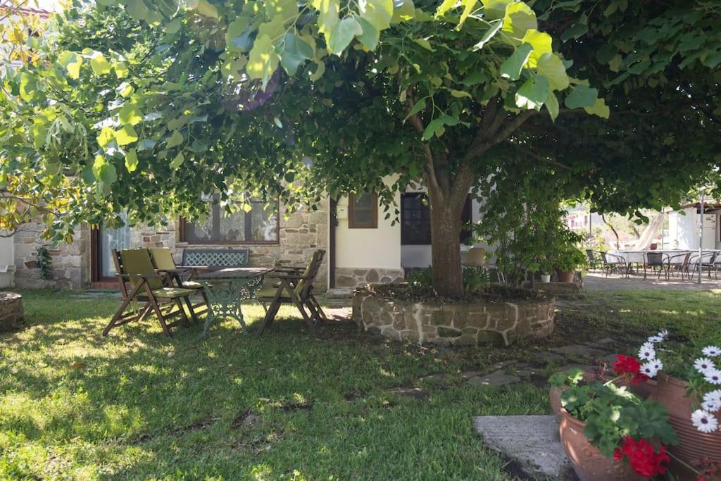 Traditionelles Appartement Athos Shadow Am Meer Paralia Sikias Exteriör bild
